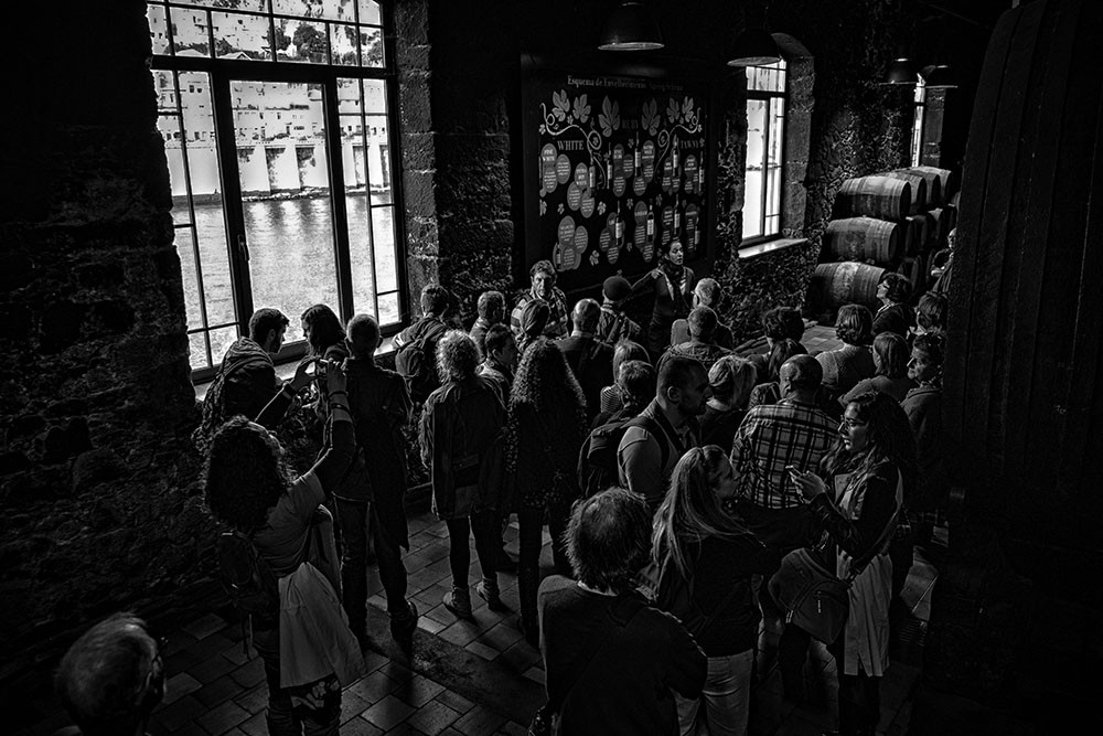 DSCF8091 copy - Cópia.jpg