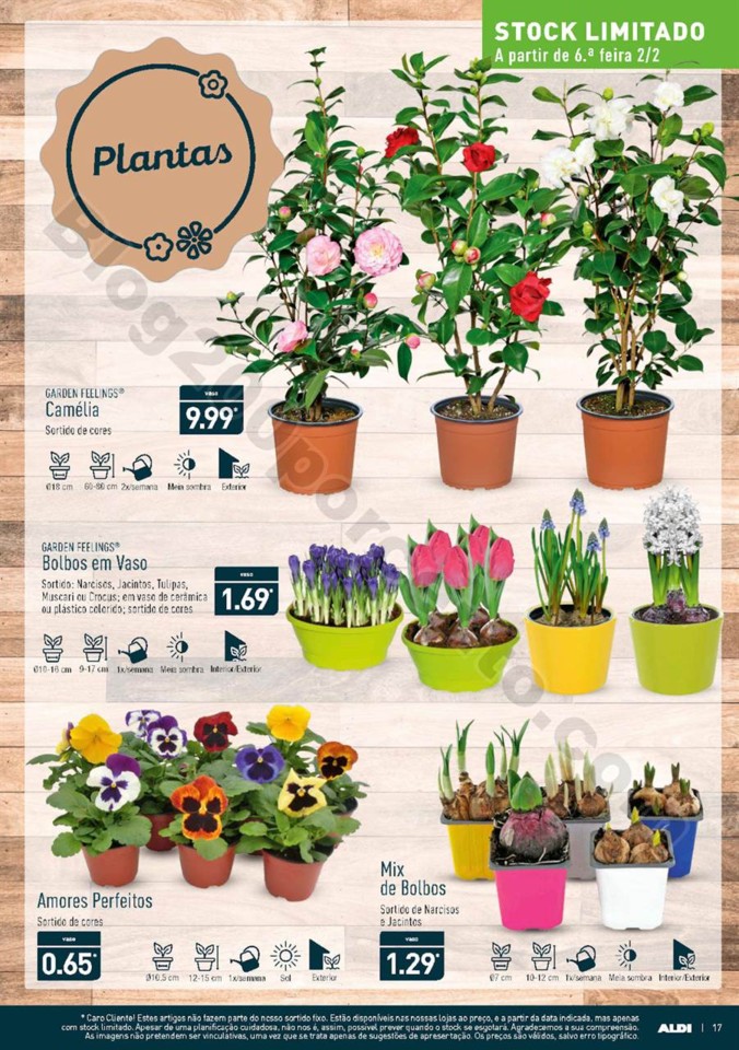 Aldi Carnaval  p10017.jpg