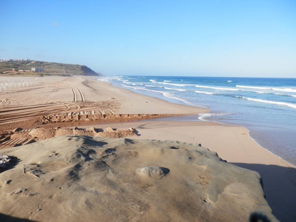 13782117_1227197433958512_8543778569376301355_n.jp 13782117_1227197433958512_8543778569376301355_n.jp