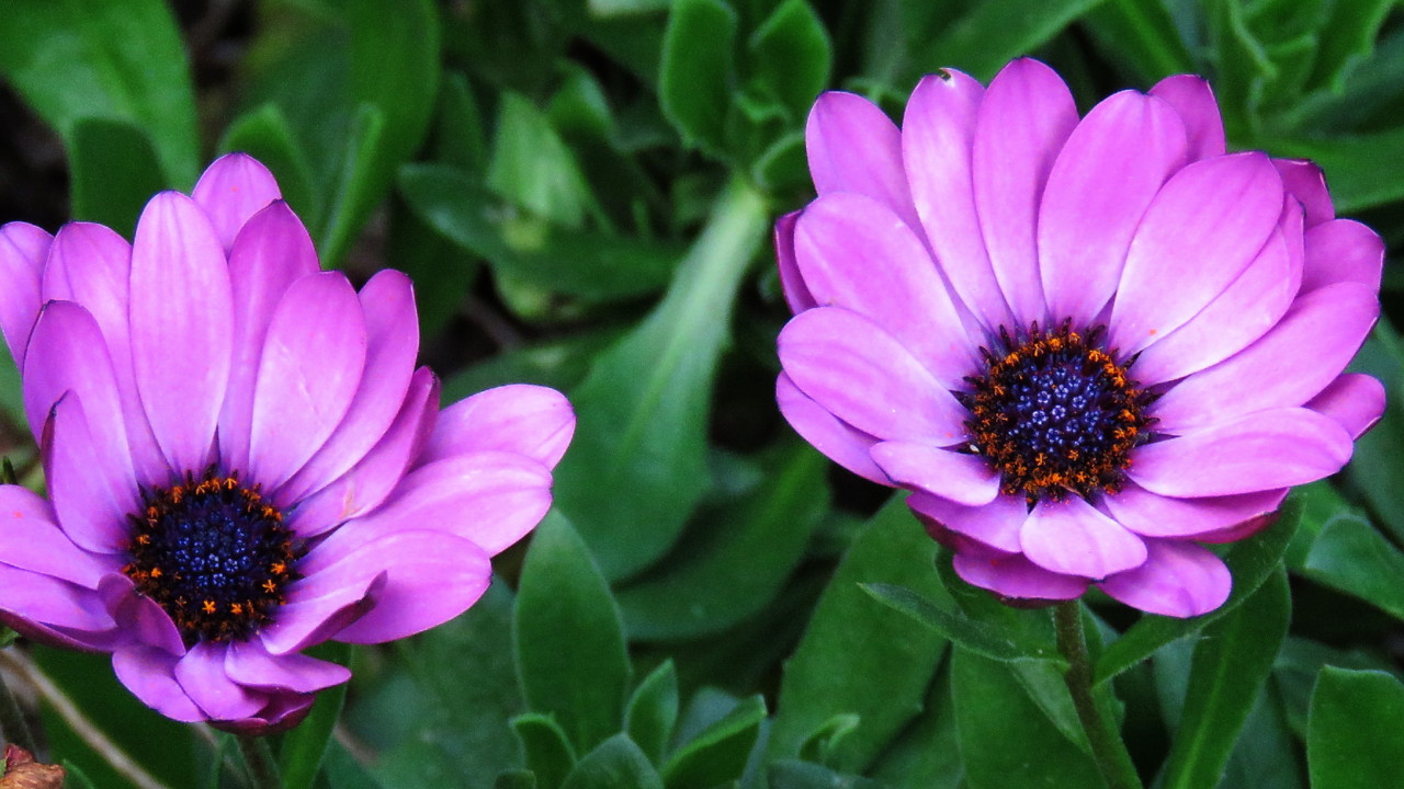 2017-12-25 16-35-27_0445.jpg