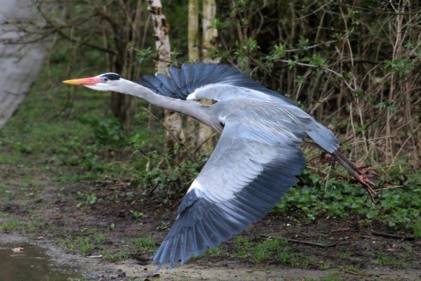 IMG_1339.JPG IMG_1339.JPG