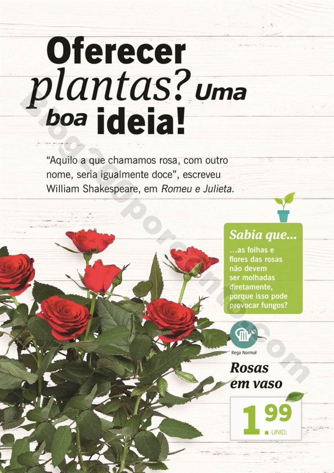 plantas_lidl_mercado_009.jpg