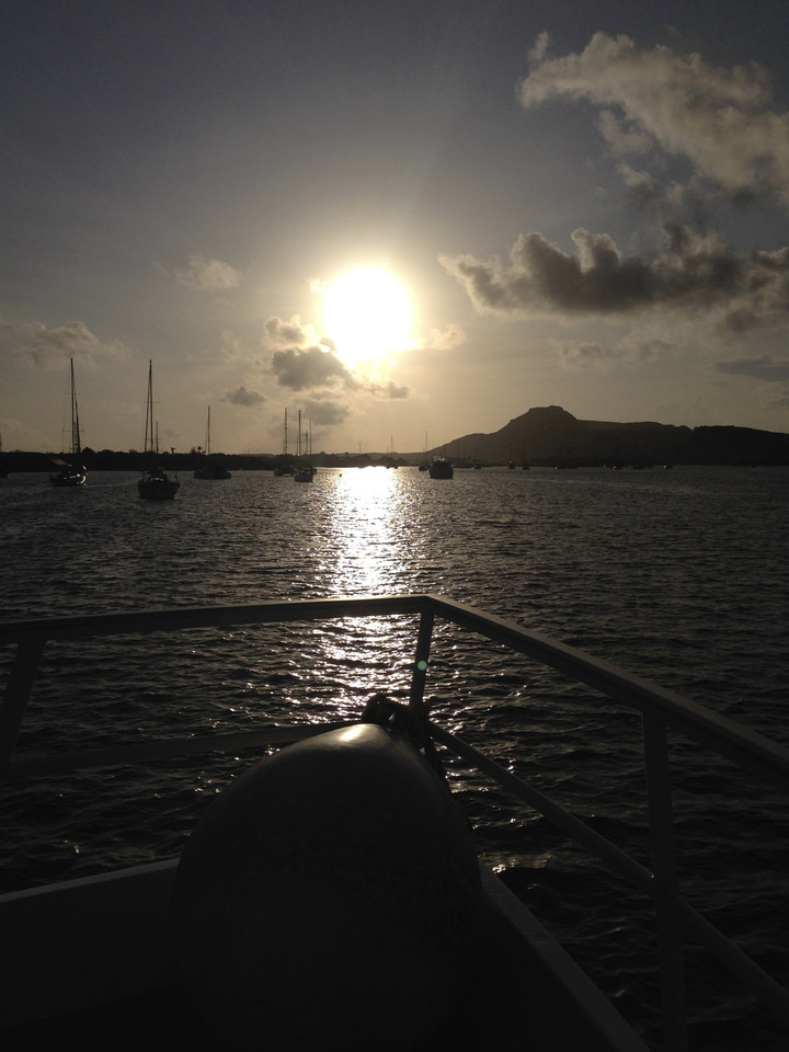 fullsizeoutput_1537.jpeg fullsizeoutput_1537.jpeg