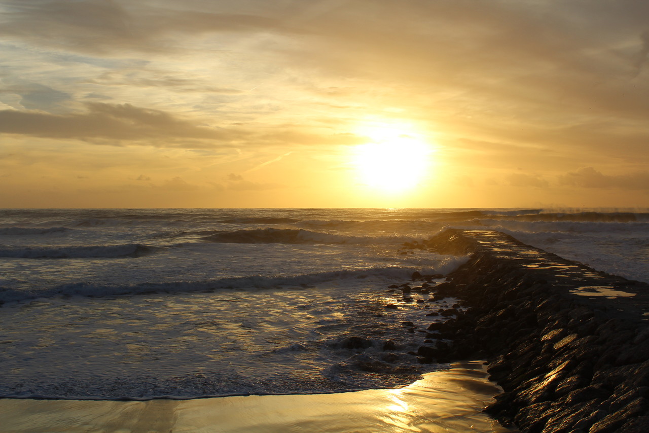 IMG_0200.JPG IMG_0200.JPG