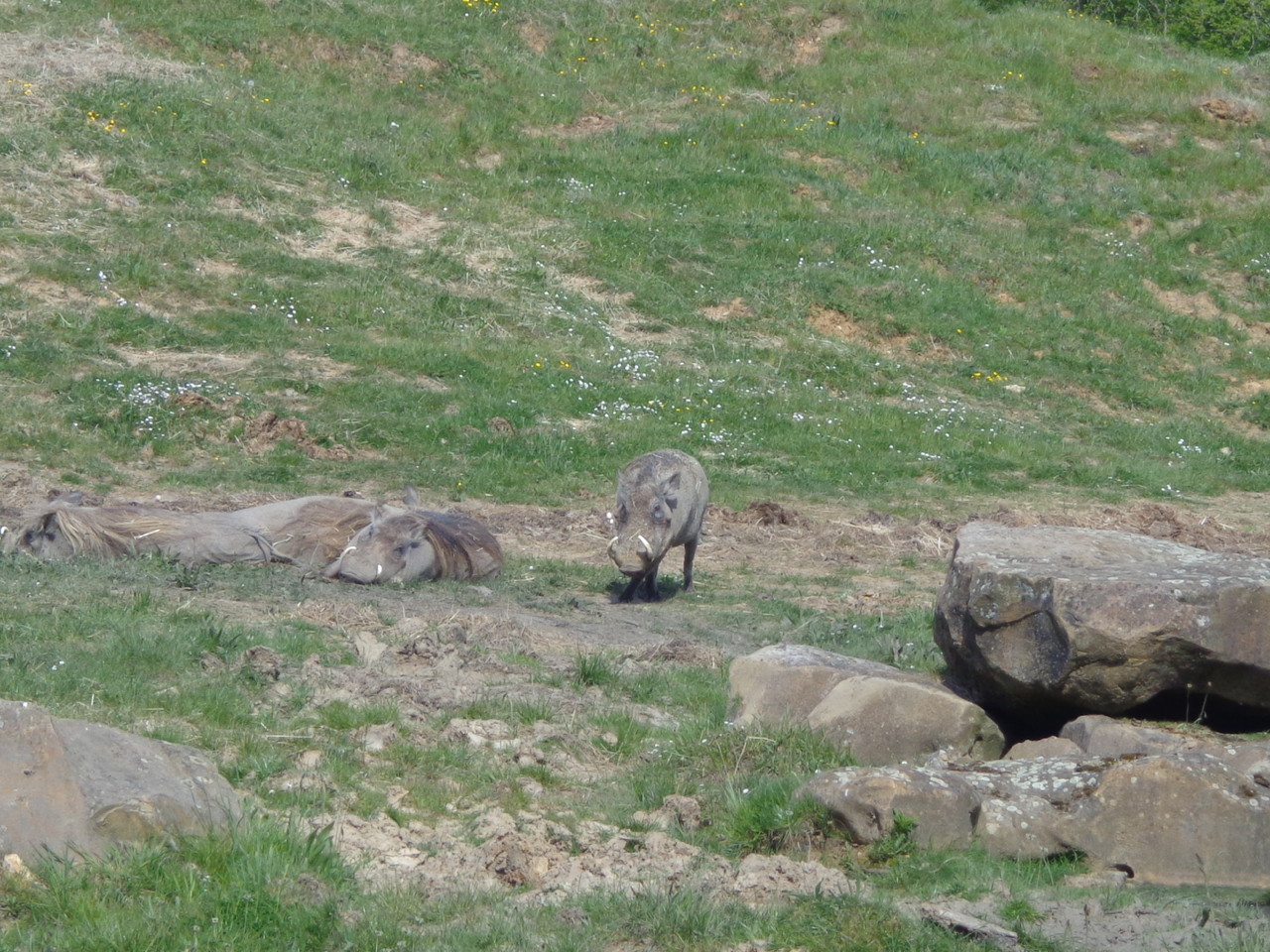 DSC09327.JPG DSC09327.JPG