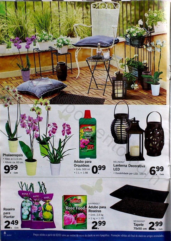 lidl extra cc_8.jpg