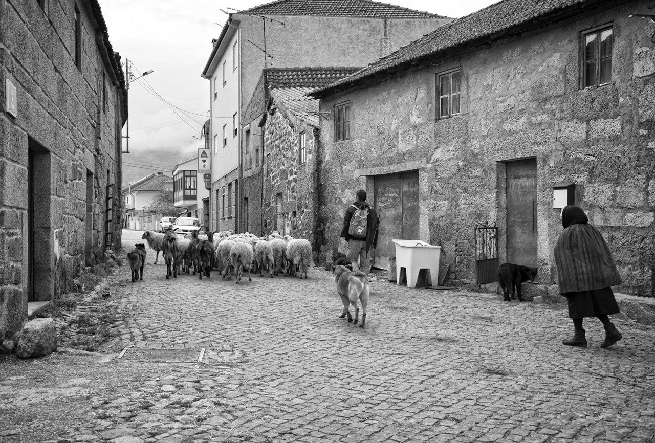 Barroso - Solveira - S. André - março 2016 - D Barroso - Solveira - S. André - março 2016 - D