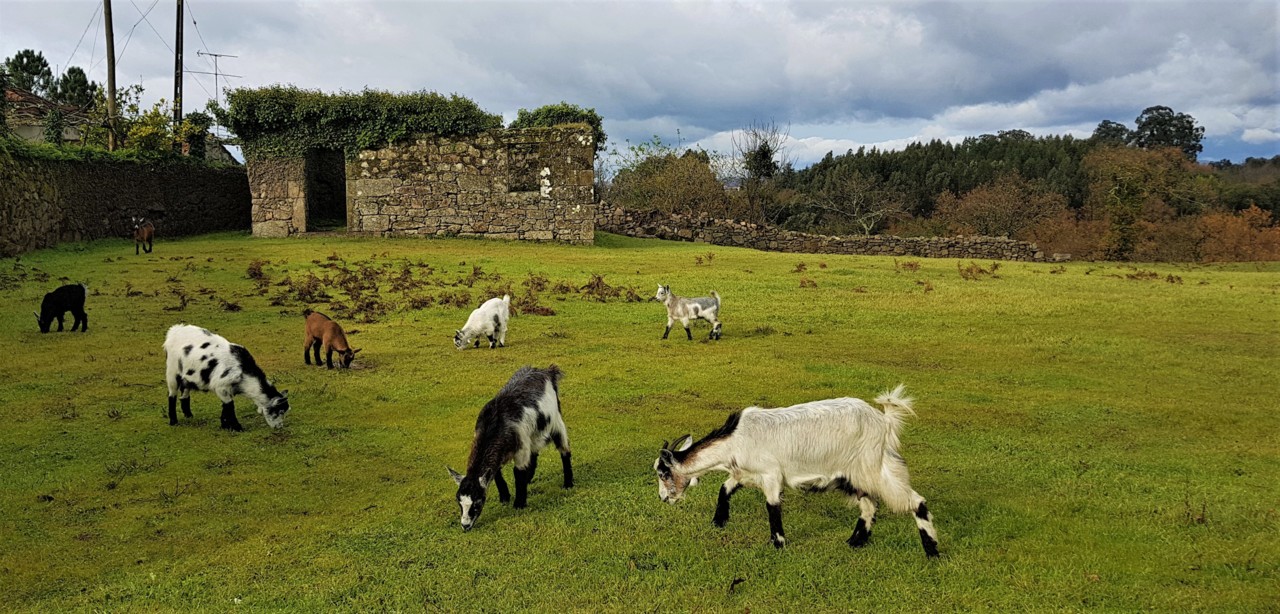 20190122_144125 .jpg 20190122_144125 .jpg