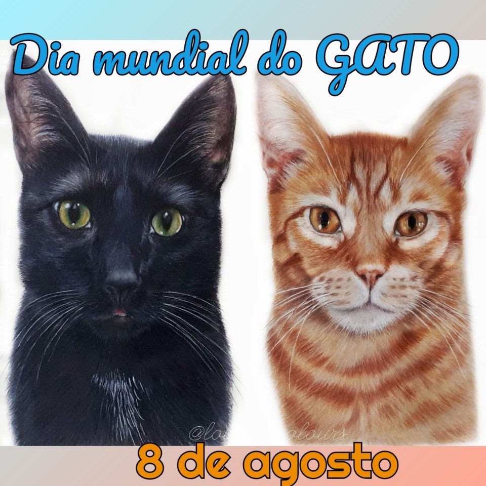 Dia Internacional do Gato – 8 de agosto