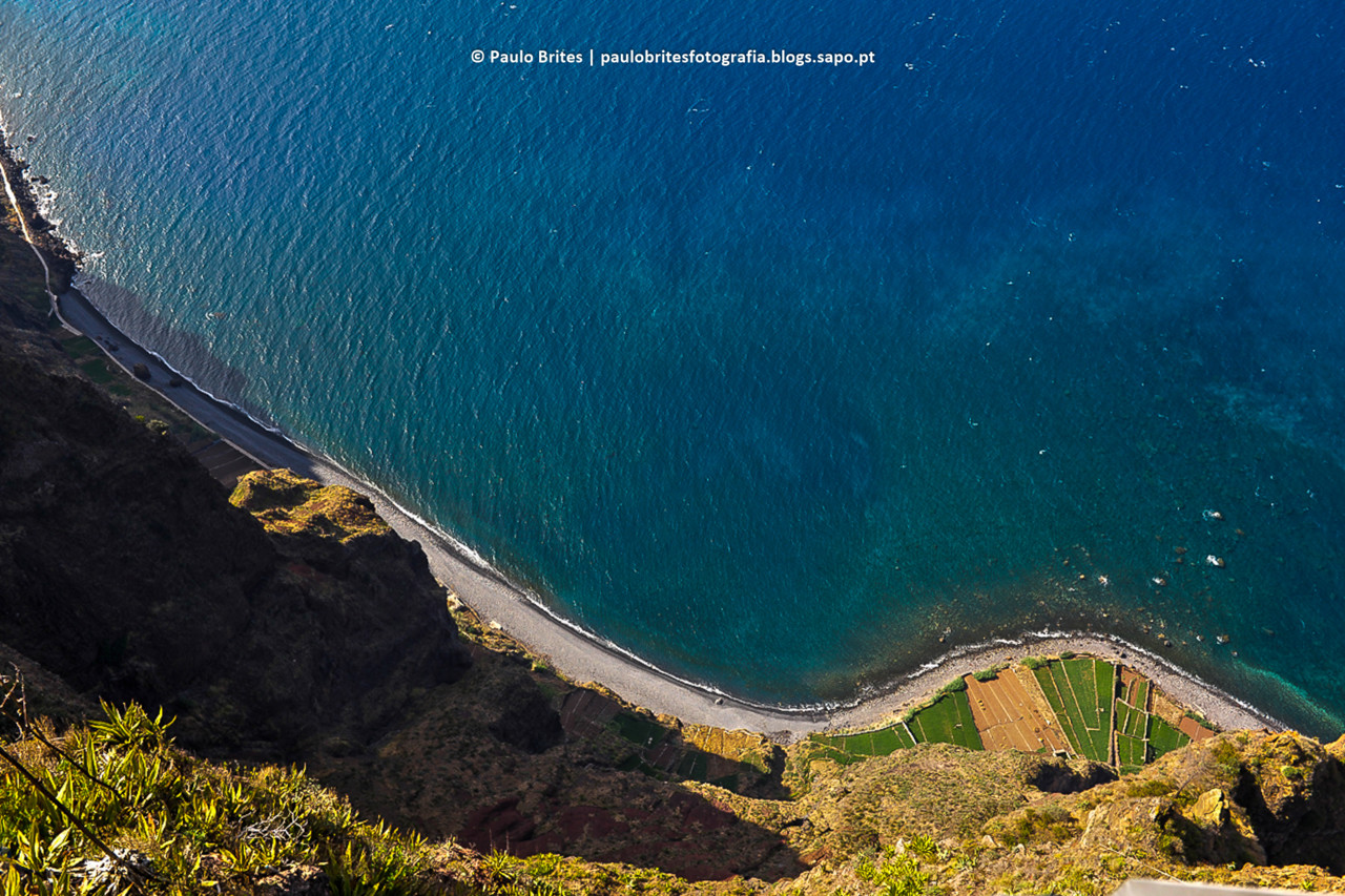 DSC_11503-1-2.jpg DSC_11503-1-2.jpg