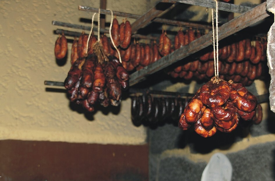 366497551_88d3f52401_b (2).jpg