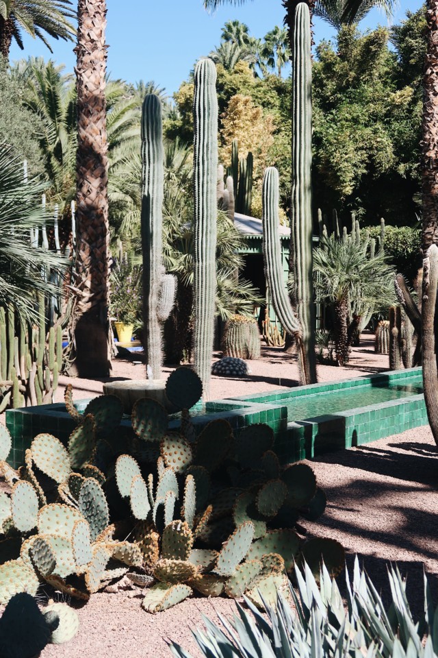 541E6224-32AB-4ADE-8385-7ACD674FAB5C.jpg 541E6224-32AB-4ADE-8385-7ACD674FAB5C.jpg