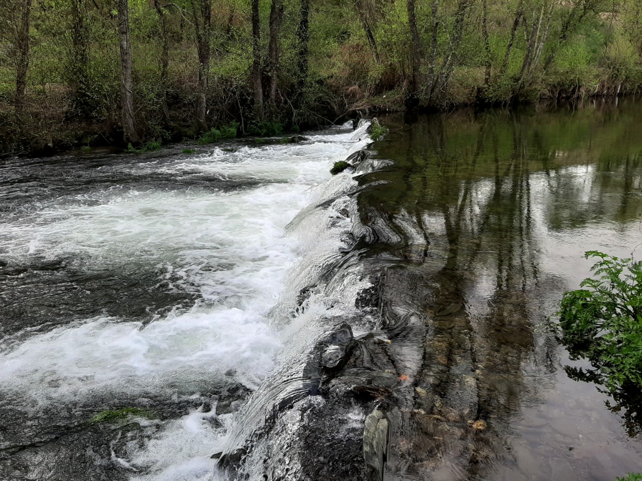 20200308_163603.jpg 20200308_163603.jpg