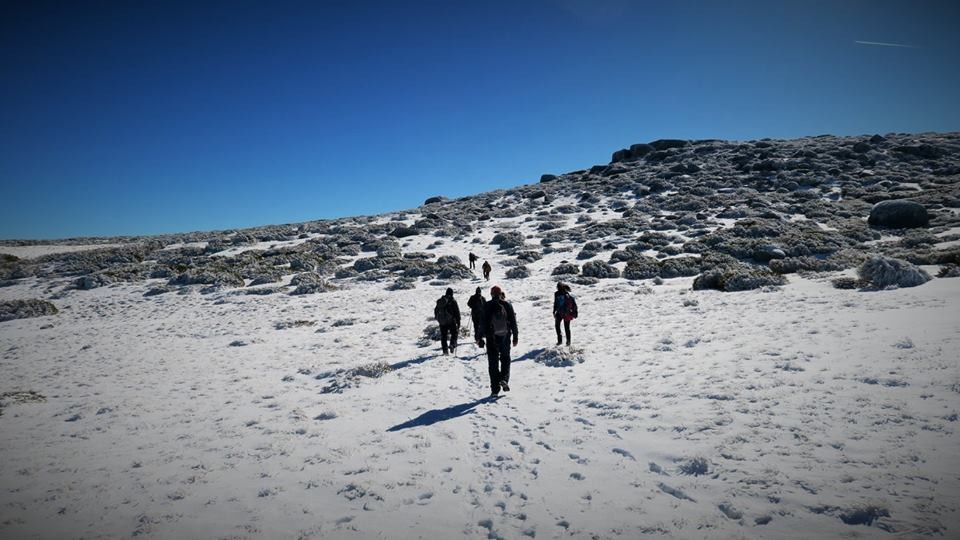 27336322_1833599133317847_2378078417095790300_n.jp