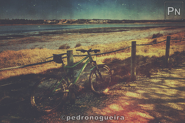 Fev_2017_021b 650px.jpg