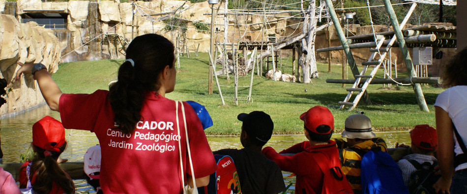 workshop-educacao-ambiental-zoo.jpg