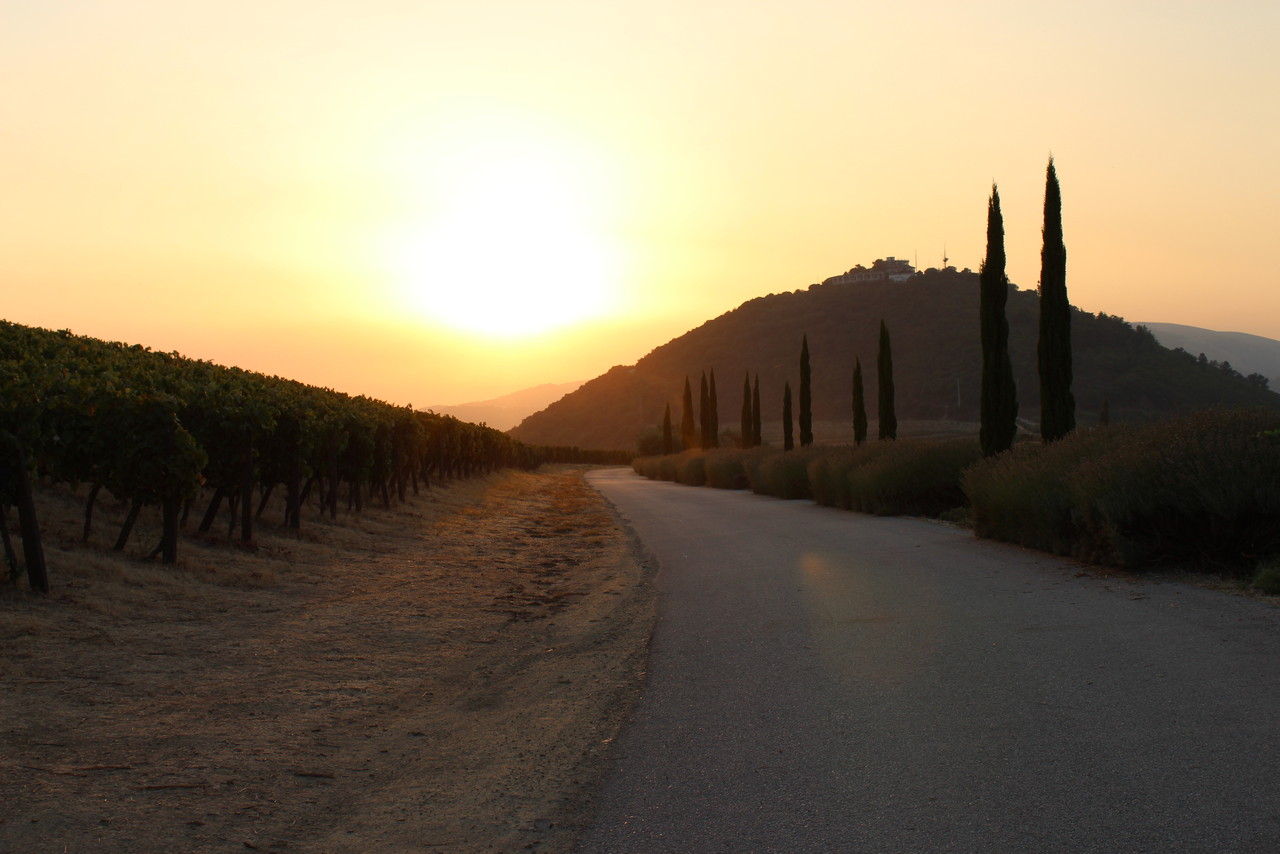Quinta das Carvalhas - Real Companhia Velha
