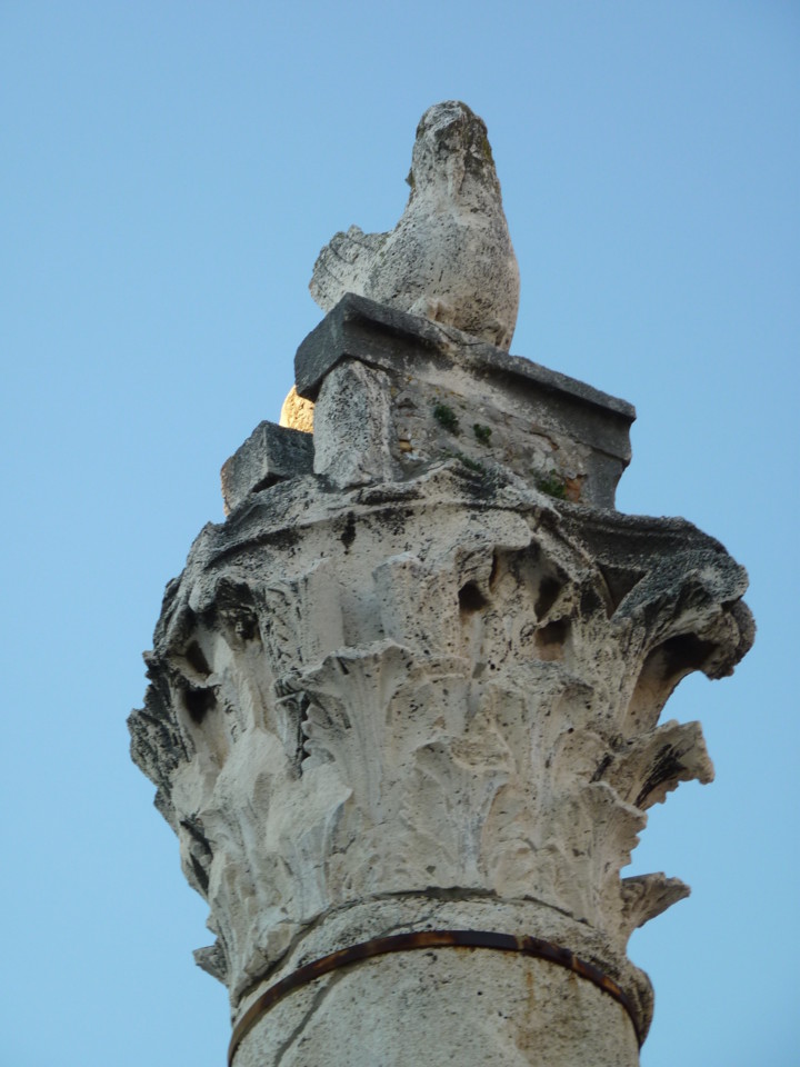 Zadar Fórum (3).JPG