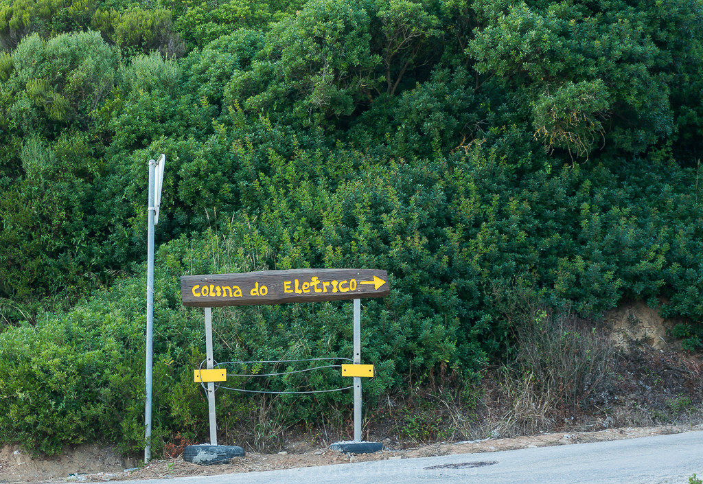 DSC04935.jpg DSC04935.jpg