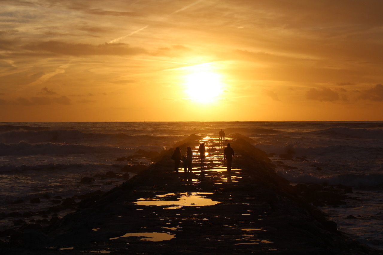 IMG_0224.JPG IMG_0224.JPG