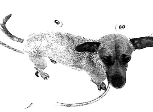 momentos intimos.jpg