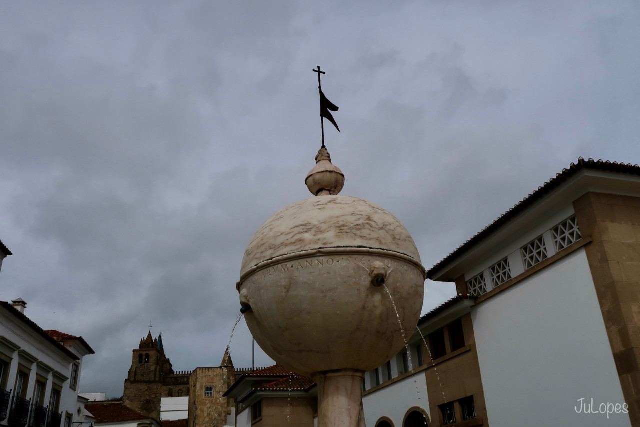 IMG_9590.jpg IMG_9590.jpg