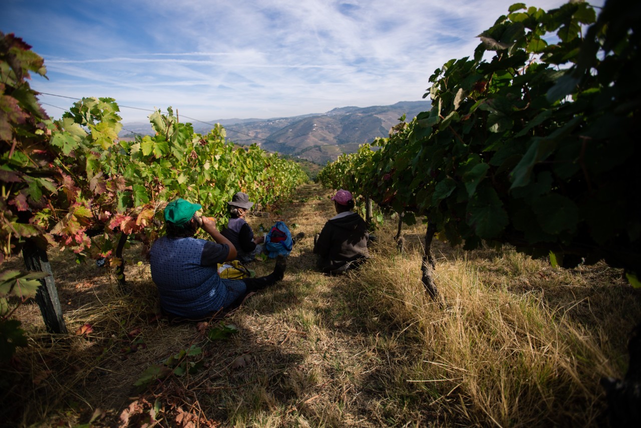 Lavradores de Feitoria