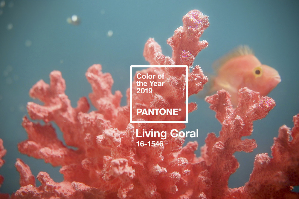 coral vivo pantone.jpg