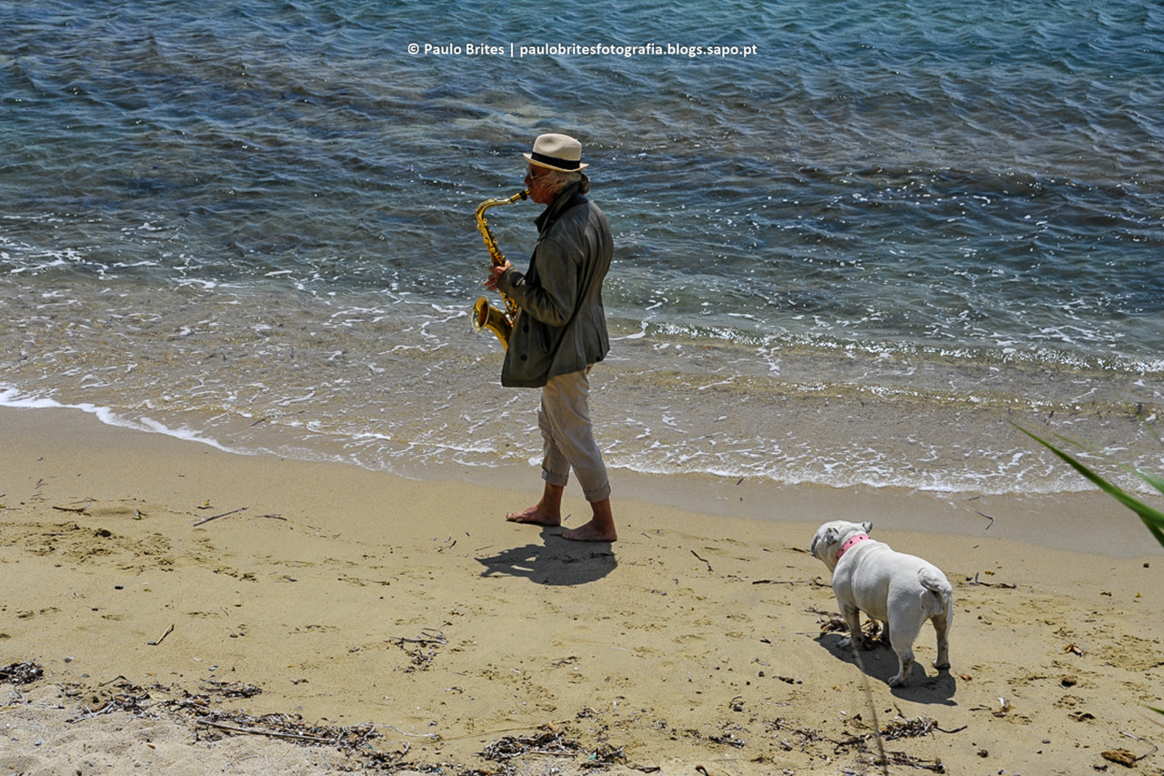 DSC_11392-1-2.jpg DSC_11392-1-2.jpg