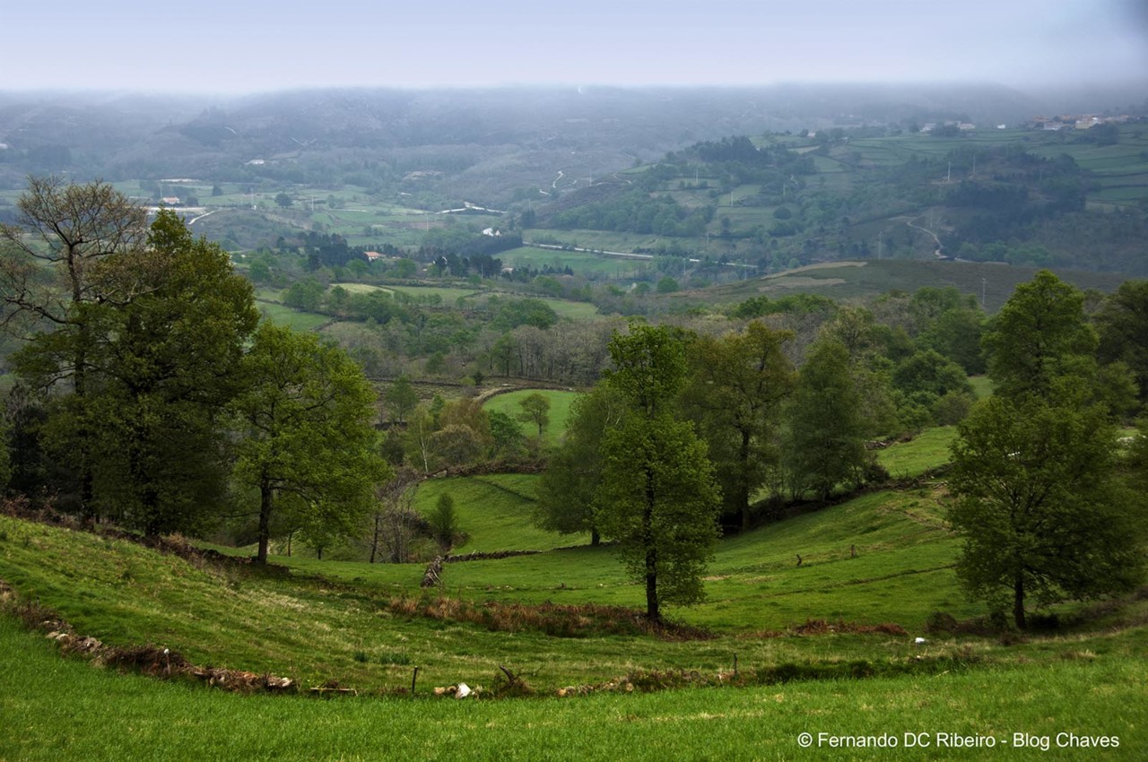 1600-reigoso (11).jpg