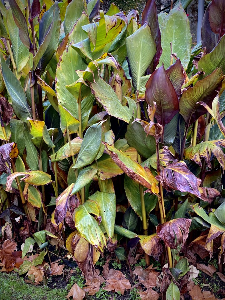 IMG_2897 (1) - cópia.jpg