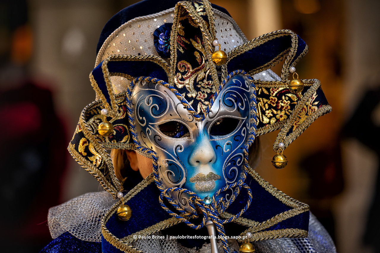 DSC_11310-1-2.jpg DSC_11310-1-2.jpg