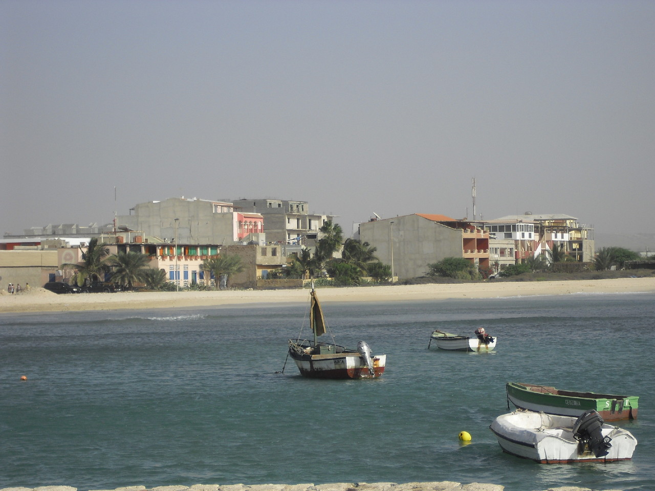 CIMG0501.JPG CIMG0501.JPG