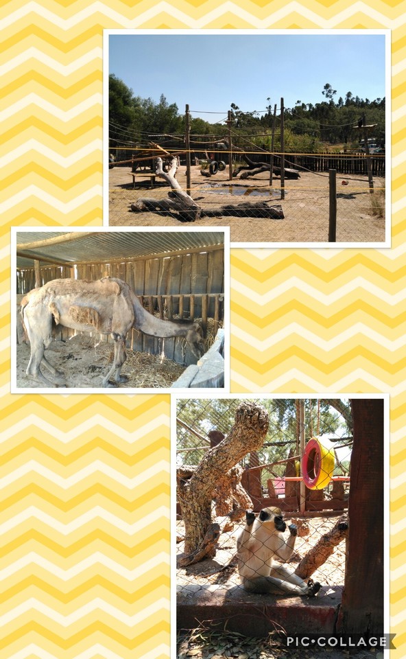 Collage 2017-07-22 23_09_29.jpg Collage 2017-07-22 23_09_29.jpg