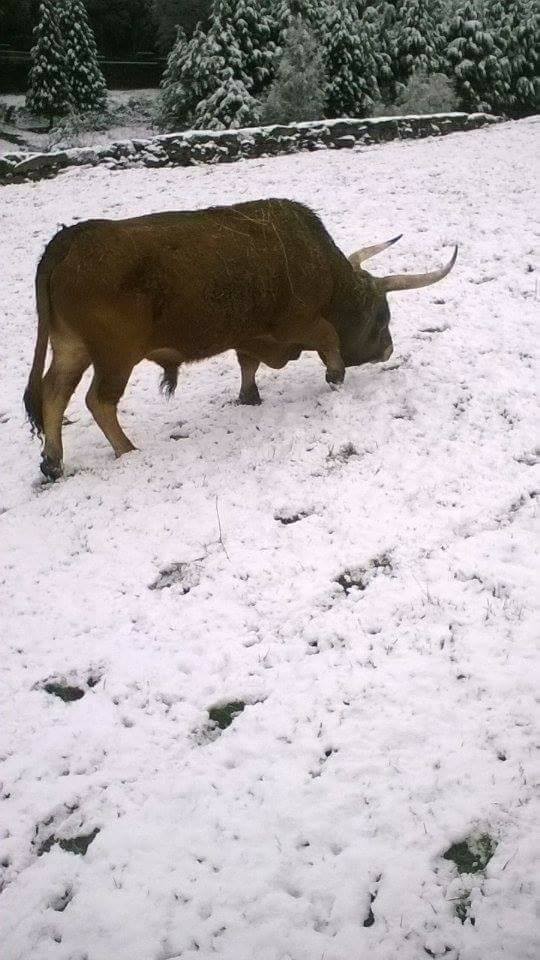 17424984_10210066821561051_2582779458377272069_n.j