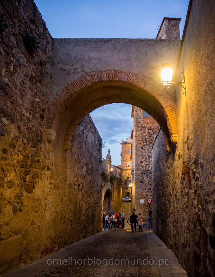 P4270090.jpg P4270090.jpg