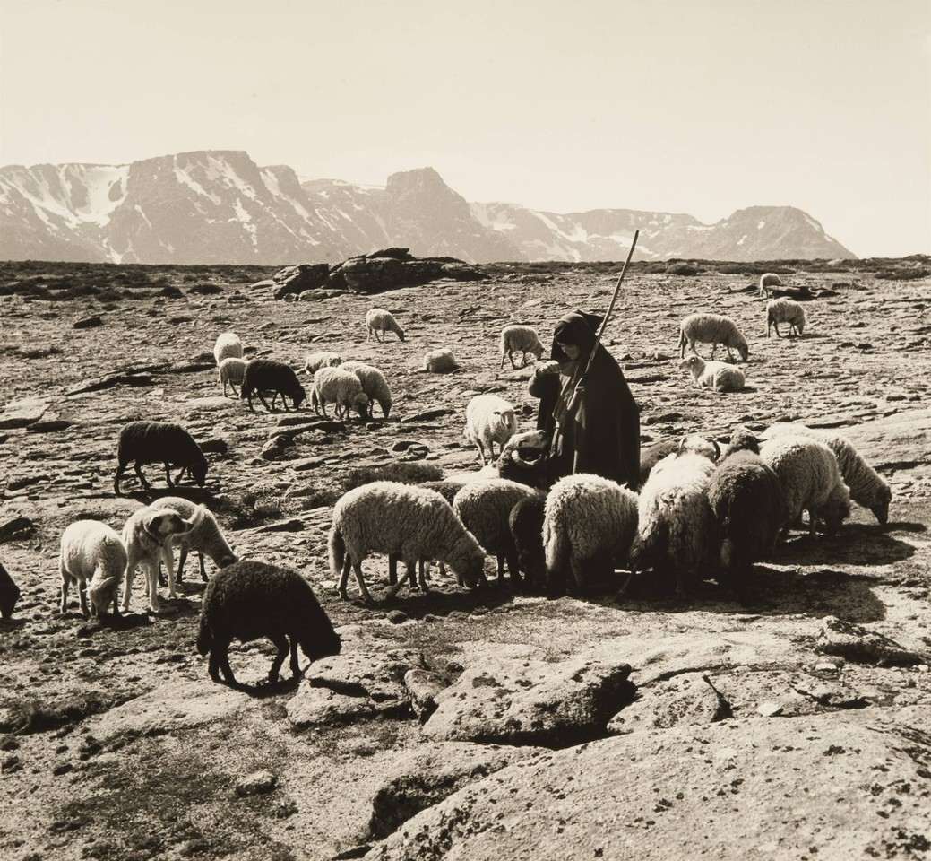 Pastor com seu rebanho, Serra da Estrella (A. Pastor, 1940-70)