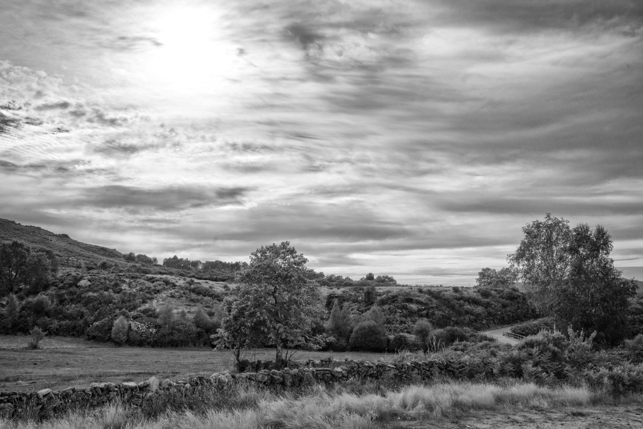 _JMF7560 - cópia copy.jpg