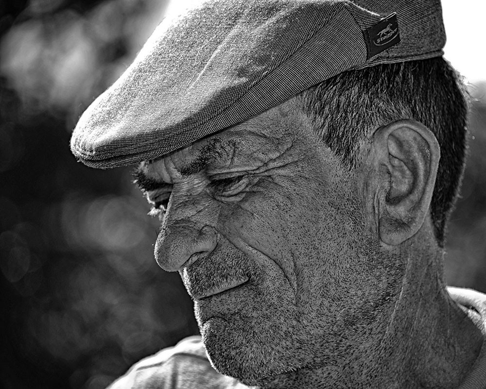 DSC_1568 - Cópia.JPG