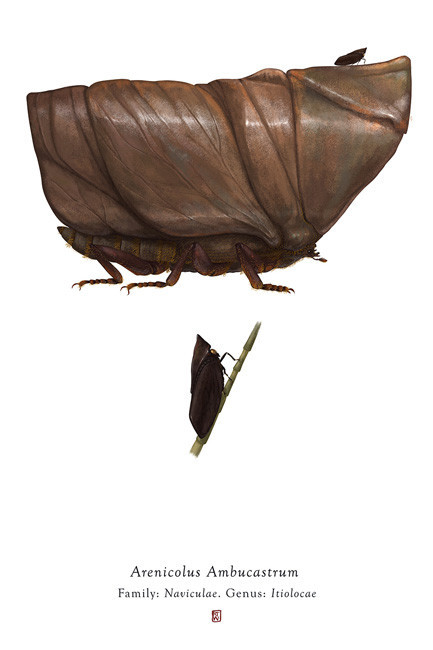 Richard Wilkinson 03.jpg