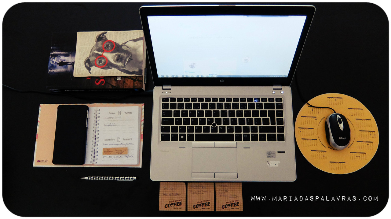 Como eu blogo - Maria das Palavras