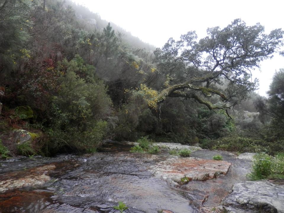 12108095_1147736781904578_326917637528189047_n.jpg 12108095_1147736781904578_326917637528189047_n.jpg