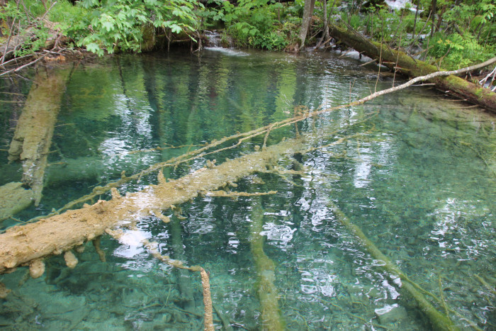 img_9750.jpg img_9750.jpg