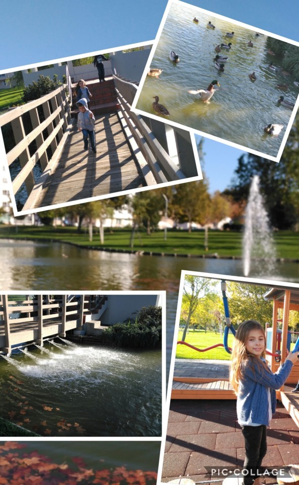 Collage 2017-11-05 22_11_37.jpg