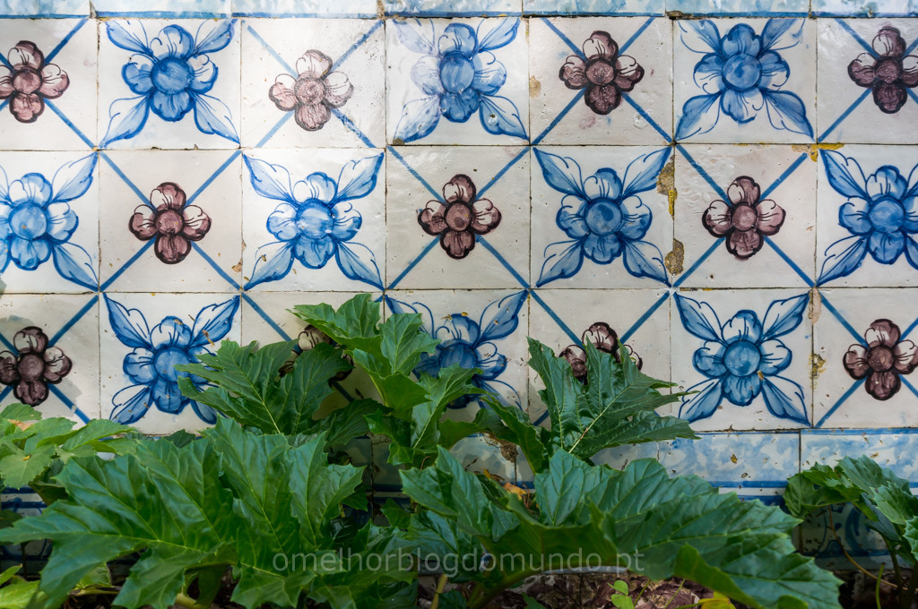 _DSC5967.jpg _DSC5967.jpg