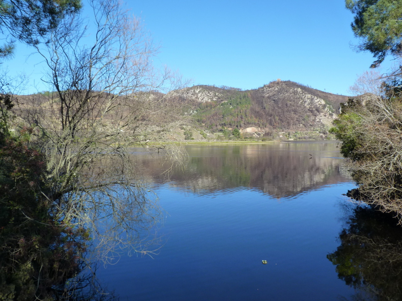 Conhal (8).jpeg Conhal (8).jpeg