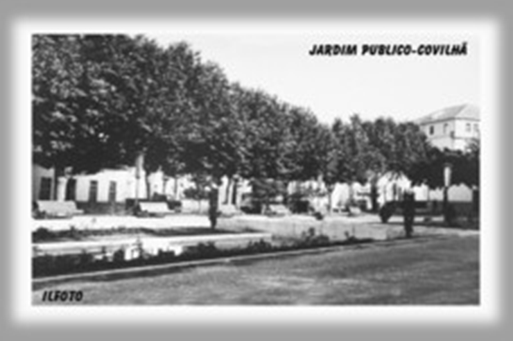 740.......500x500 (20).png 740.......500x500 (20).png