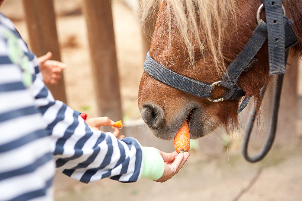 IMG_1249-2.jpg IMG_1249-2.jpg