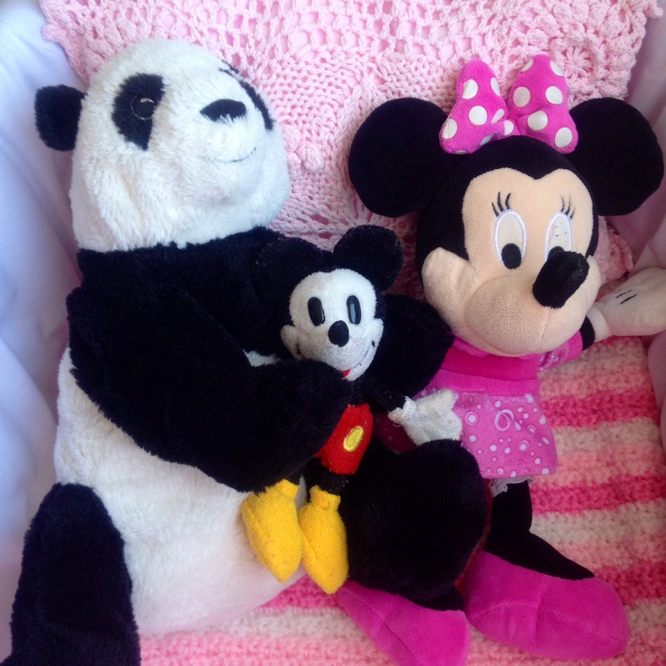 Panda Mickey e Minnie
