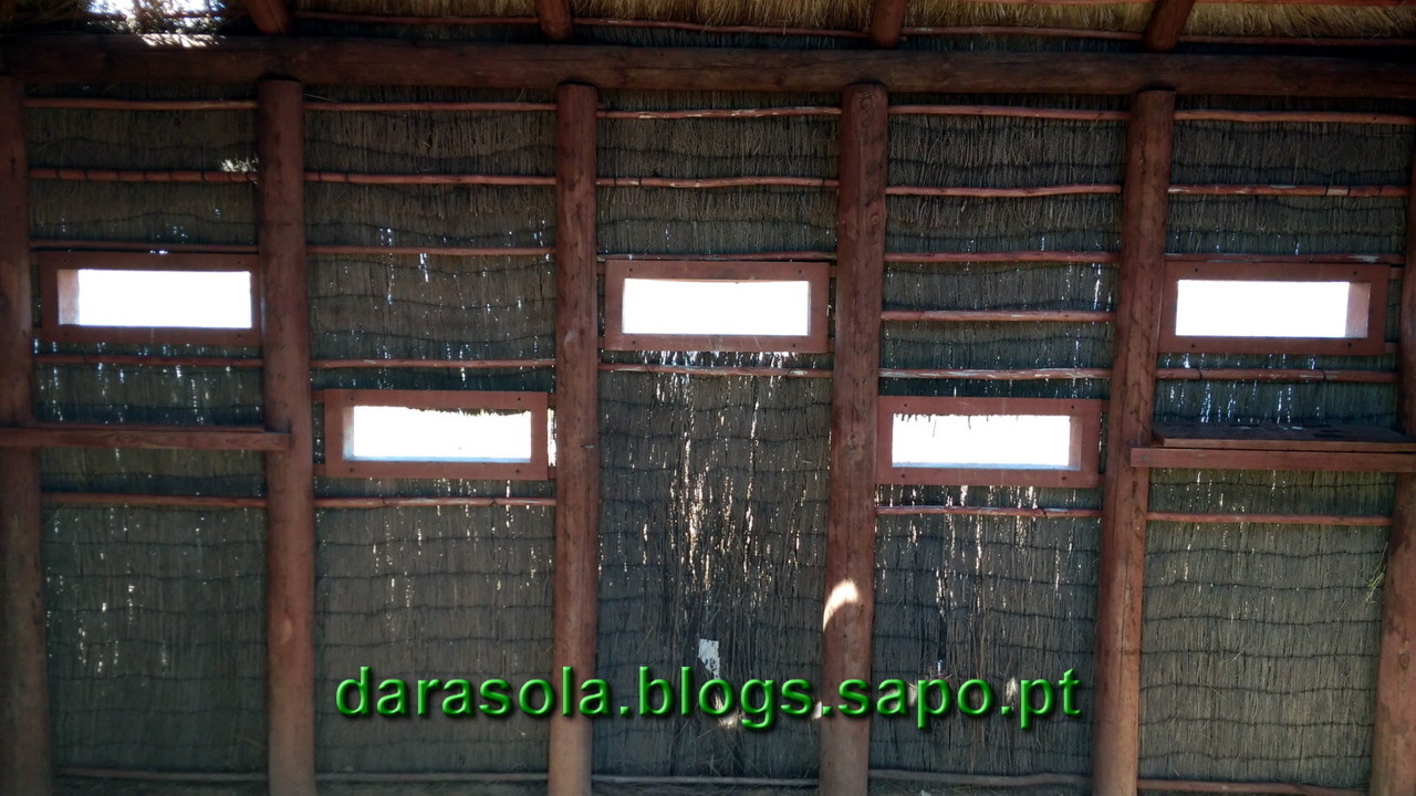 Maresmas_Isla_Canela_18.jpg Maresmas_Isla_Canela_18.jpg